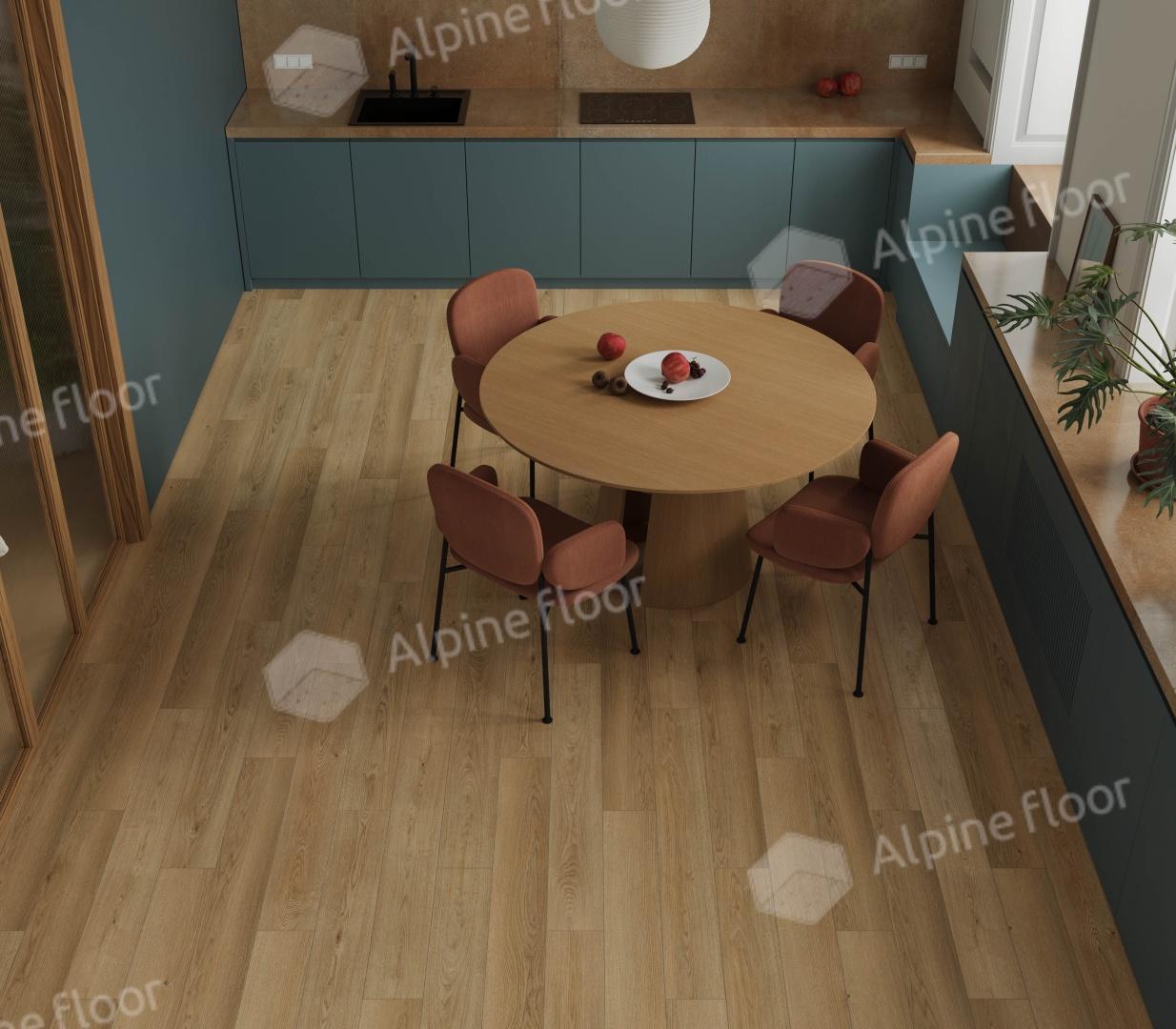https://bitrix.alpinestore.su/upload/iblock/10d/mon15jp3y7y4jwnmx4w57zbtrt51rm71/Rakurs2.JPG