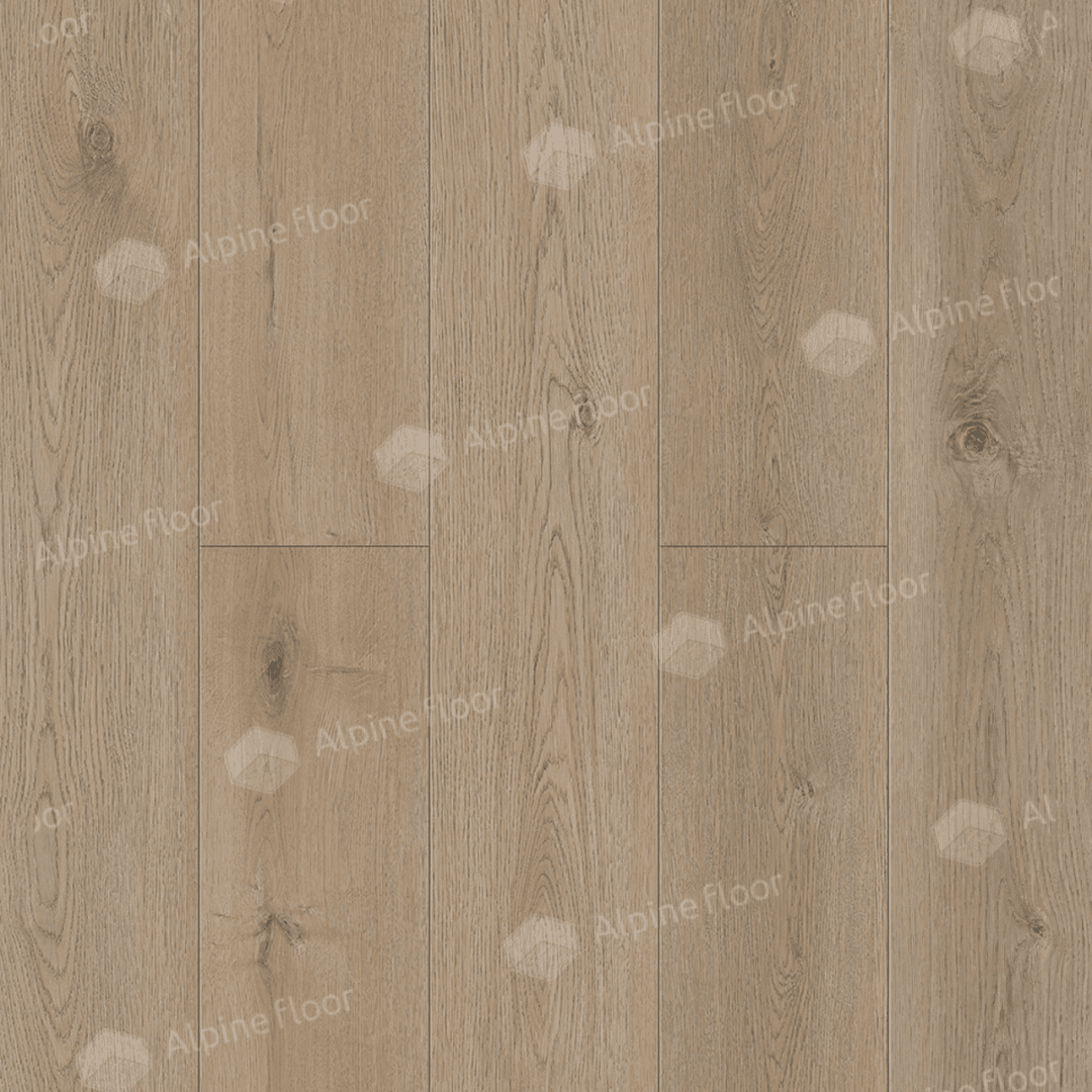 https://bitrix.alpinestore.su/upload/iblock/21f/a344odkc2qobj1ncaqtvfxm3ucvomlkl/5_27_pano.png