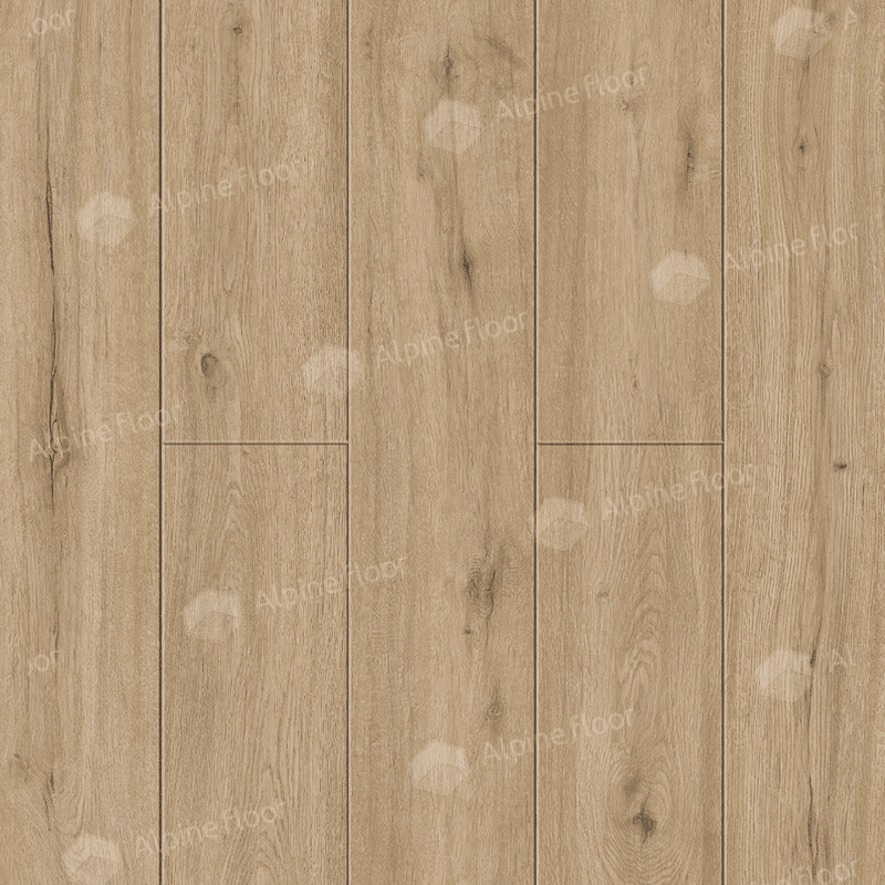 https://bitrix.alpinestore.su/upload/iblock/2c1/b4yk9f9lhsf4ukeca0yp4nqj1ecxgne1/14_601.png