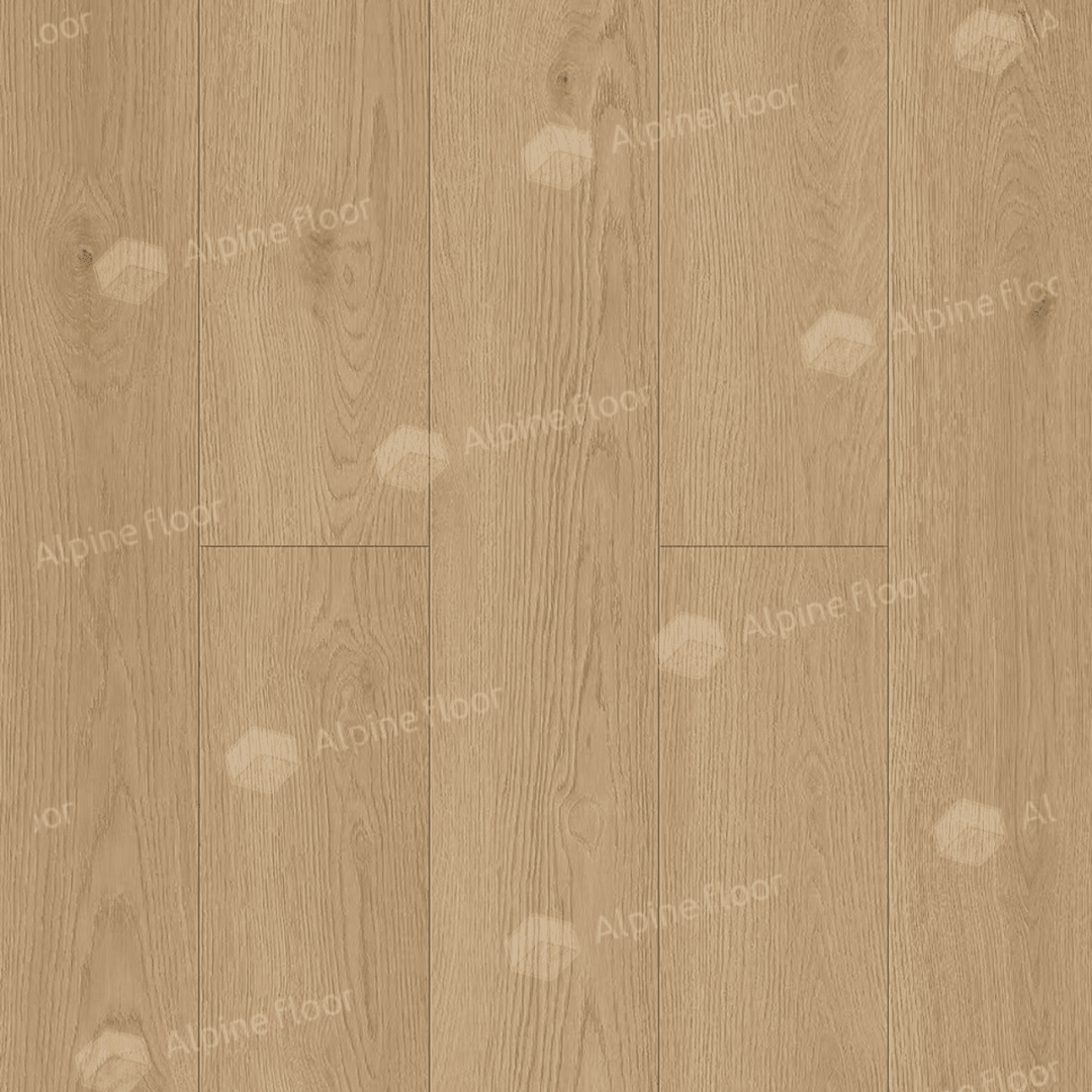 https://bitrix.alpinestore.su/upload/iblock/56c/a0xdib70pk71egrn593ucvh5d1d2vq3c/5_37_pano.png