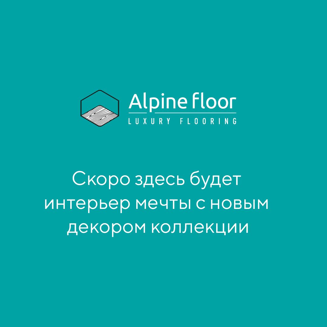 https://bitrix.alpinestore.su/upload/iblock/96b/p4iquxlnfz5zctrcu6kweykmrh7e0248/alpine.jpg
