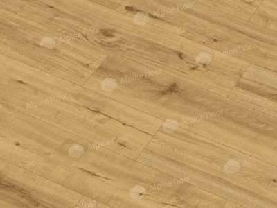 https://bitrix.alpinestore.su/upload/iblock/a4d/ly6v0afxzv2j8j05jv1tbu4gx6z139wr/62541-2.png