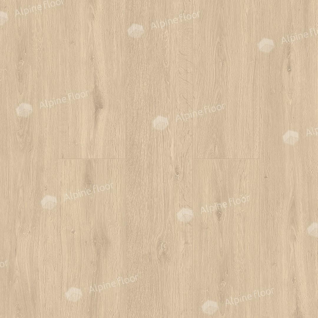 https://bitrix.alpinestore.su/upload/iblock/ef4/u32w82ygdalv0xbk3xc4yv05gdtir3lv/05_04.jpg