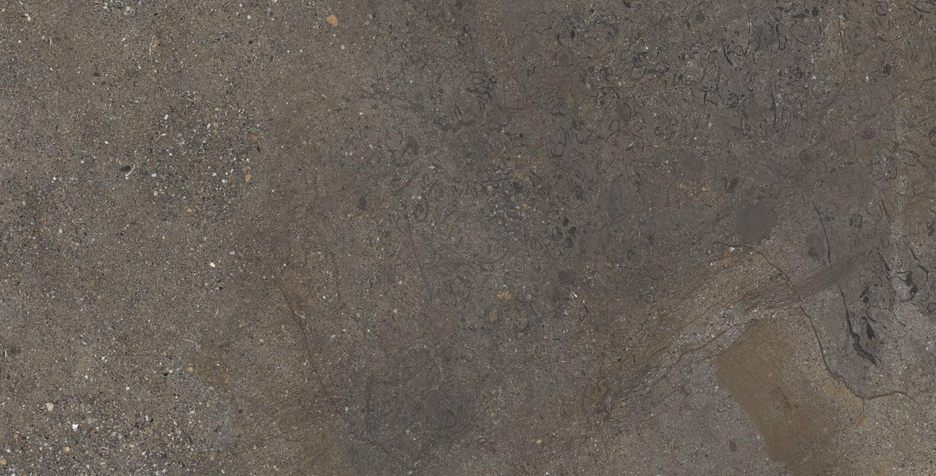 https://bitrix.alpinestore.su/upload/iblock/14d/eic52x6c0a6fdapkisxrfr12a0swlyaz/NTTHS99806D_F1_.jpg