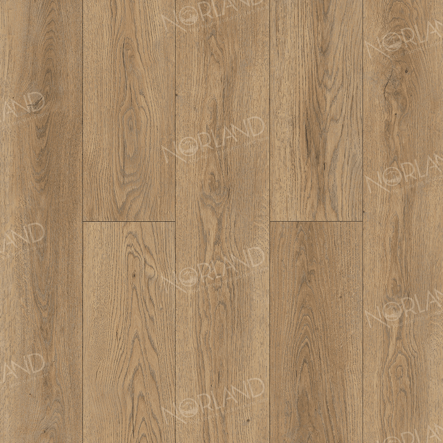 https://bitrix.alpinestore.su/upload/iblock/1a5/immc1iw6kyg5qk6wz001d4q4keedbtsk/panno_1022_21_11zon.png