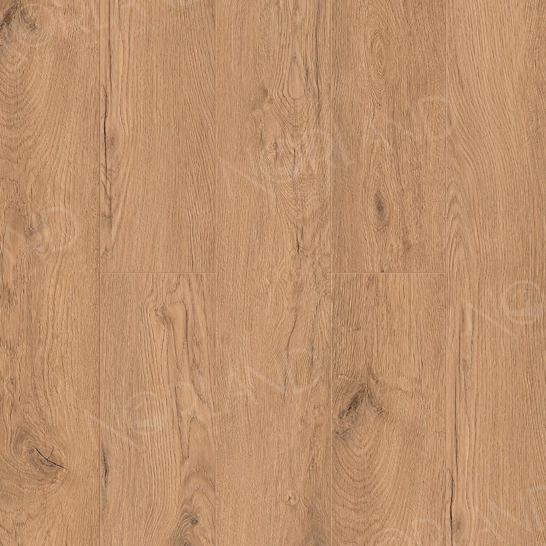 https://bitrix.alpinestore.su/upload/iblock/3d1/1uun50tvmdxvaecqkaoawkp6z4xado5n/1022_05_panno.jpg
