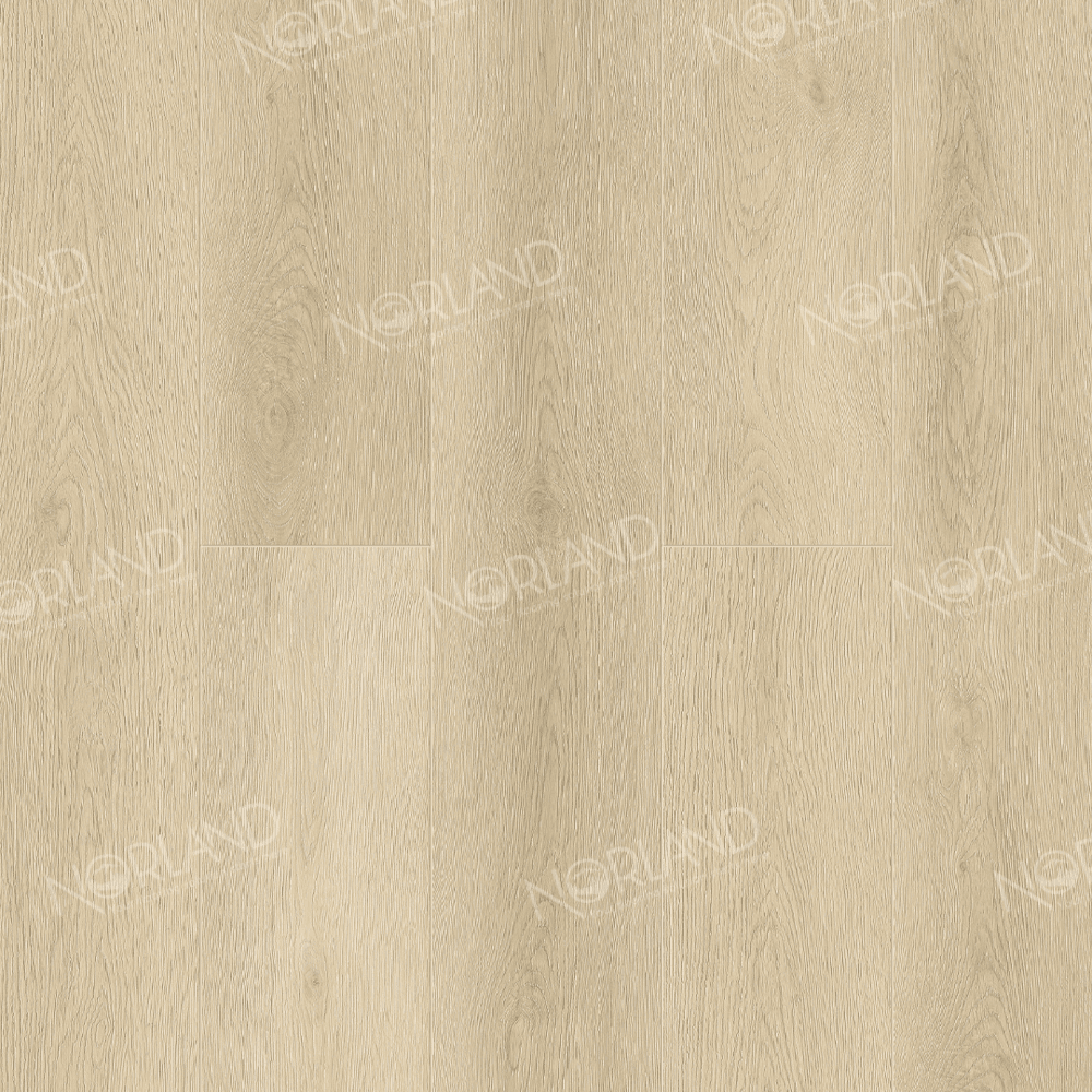 https://bitrix.alpinestore.su/upload/iblock/3da/oyjnajtp2adn2a2ei1gmduv1kmxkpwkv/1022_9_panno.png