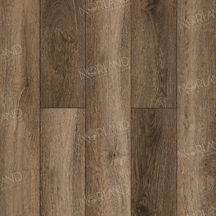 https://bitrix.alpinestore.su/upload/iblock/64d/rkxejwuvugsojb67xhmwt3o2rr51exde/panno_1022_16_11zon.png