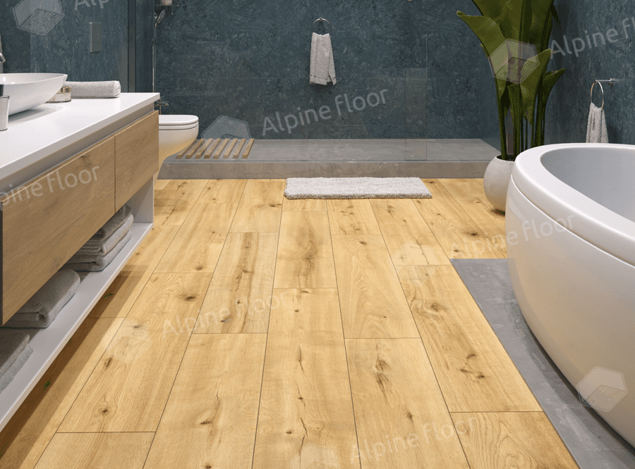 https://bitrix.alpinestore.su/upload/iblock/68b/o3ukbb8geuerq6o3h6us58guwmpcdzxo/62536pronaturemocoadk8229f19246mm1.png