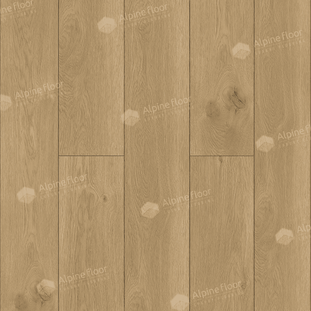https://bitrix.alpinestore.su/upload/iblock/934/2cg42wxf5rvu1jj74n5rgnq4xp534ax9/eco24_4_4_11zon.png
