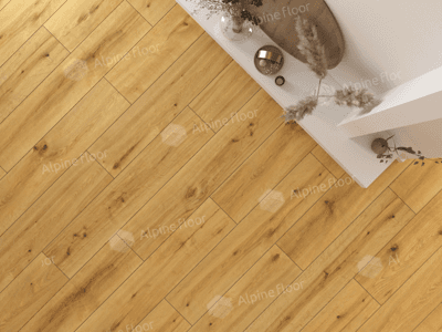 https://bitrix.alpinestore.su/upload/iblock/ddc/xmtlery2g774tk3qtckrkg00qhgf8cyh/62538-_-Pro-Nature-_-Soledad-_-DK8229F21-_-246mm_2.png
