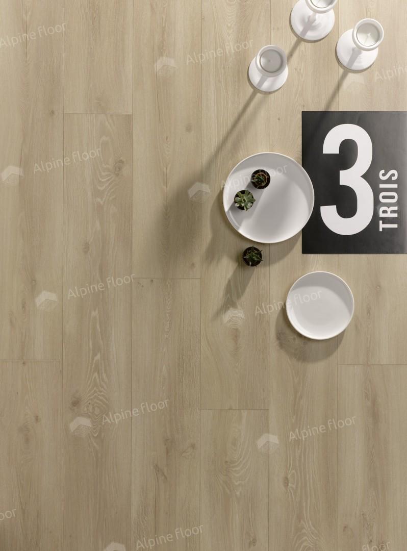 https://bitrix.alpinestore.su/upload/iblock/e67/4hd18qouhlqirmhc1xl5lmoqr8we15es/AMB_706_GALAXIE_.jpg